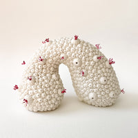 Coral Whispers I - Porcelain Sculpture