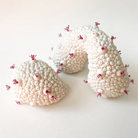Coral Whispers I - Porcelain Sculpture