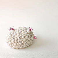Coral Whispers III - Porcelain Sculpture