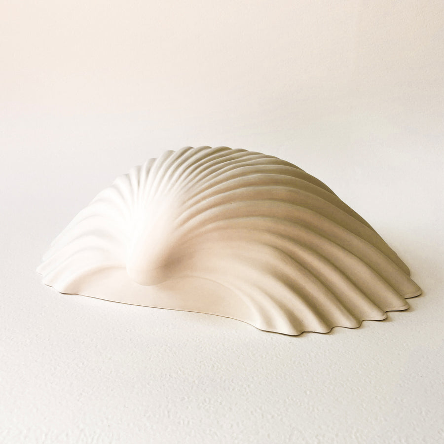 Cockle Shell Porcelain Wall Sculpture