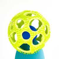 Hyphal Web - Porcelain and Glass Sculpture