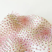 Anemone - Porcelain and Glass Sculpture