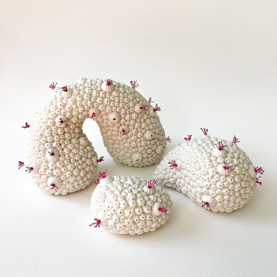 Coral Whispers Porcelain Sculpture Large