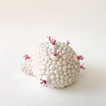 Coral Whispers Porcelain Sculpture Medium