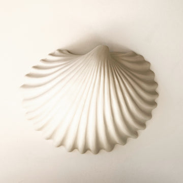 Cockle Shell Porcelain Wall Sculpture