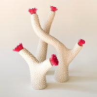 Staghorn Branches Porcelain Sculptures in White