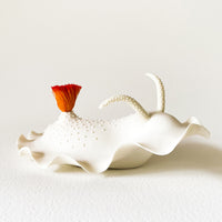 Nudibranch Porcelain Sculpture in White and Burnt Orange