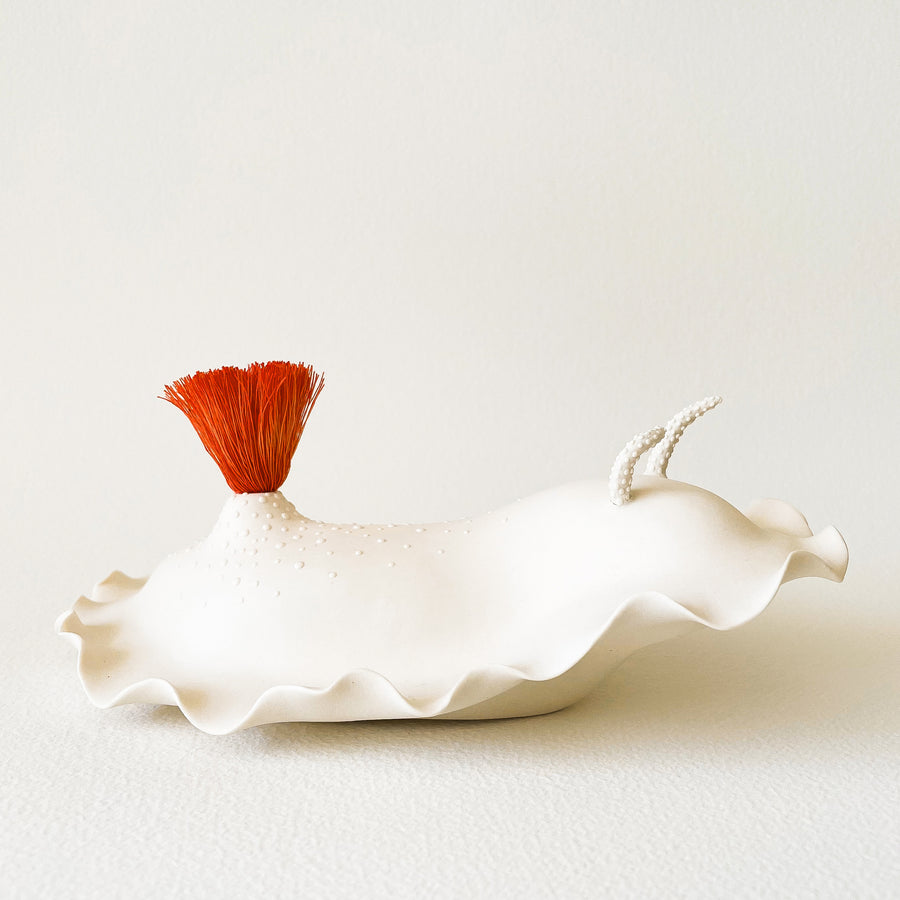 Nudibranch Porcelain Sculpture in White with Orange Tuft