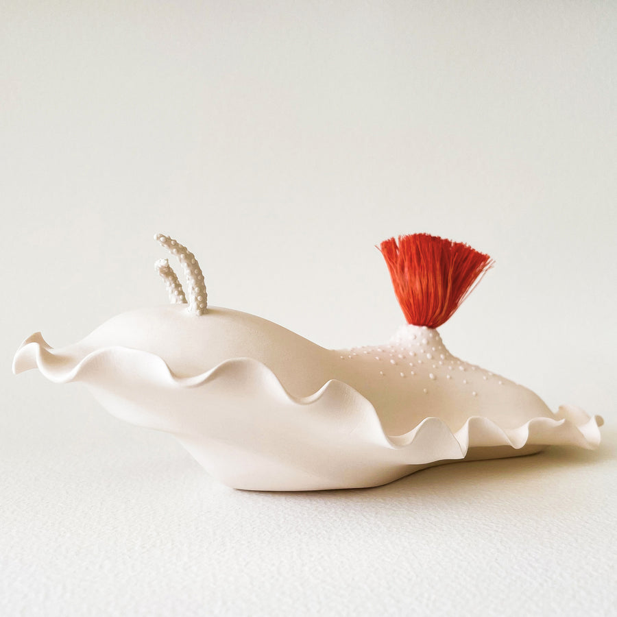 Nudibranch Porcelain Sculpture in White with Orange Tuft